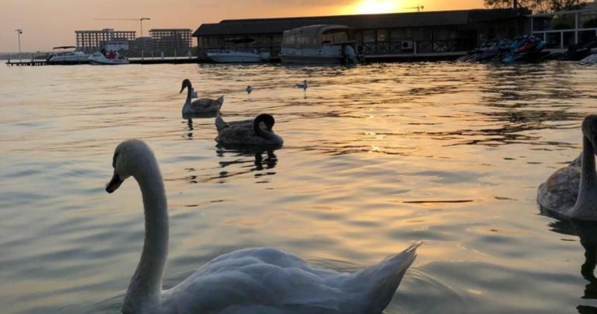Hotel La Scoica Land Неводарі Екстер'єр фото